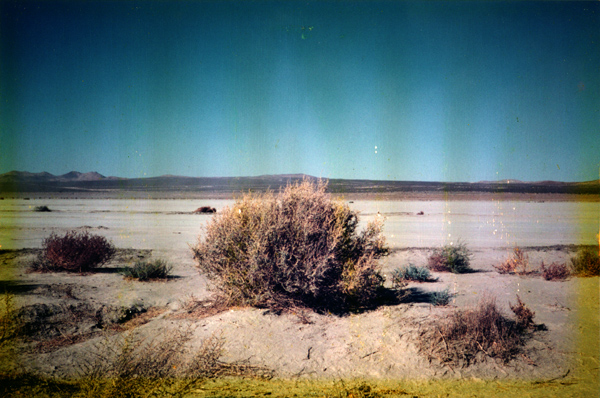 e0060651_22485767.jpg