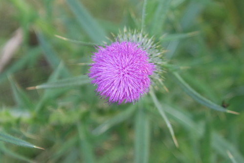a0268655_18253467.jpg