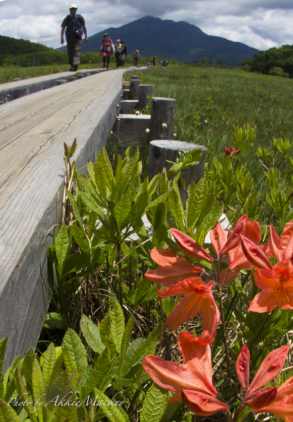 b0167256_13442288.jpg