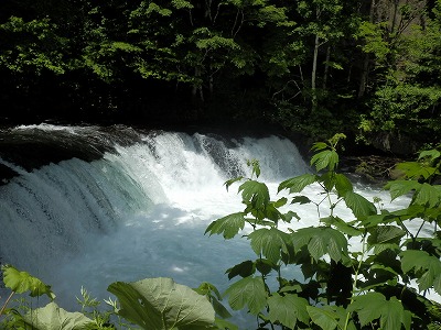 e0004756_21375818.jpg
