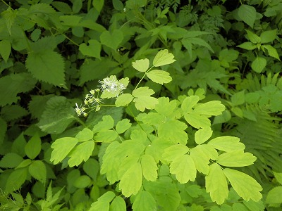 e0004756_22103574.jpg