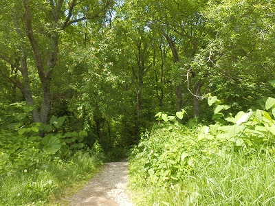 e0004756_2222566.jpg