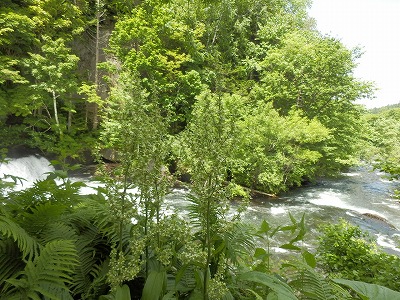 e0004756_2274132.jpg