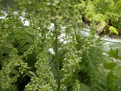e0004756_229091.jpg
