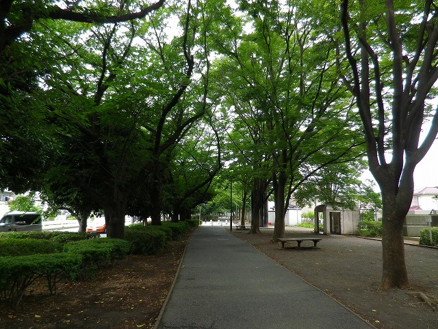 e0078069_1120175.jpg