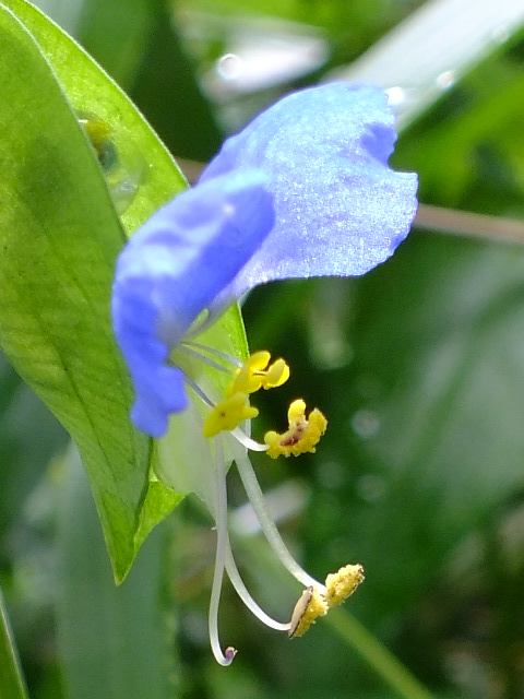 e0145782_2052074.jpg