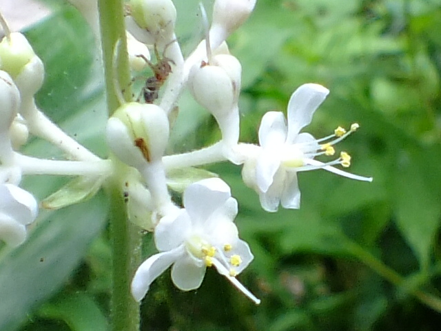 e0145782_207172.jpg
