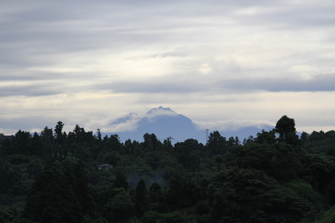 e0197884_1941412.jpg