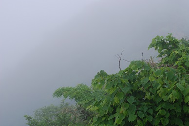 a0133886_1731468.jpg