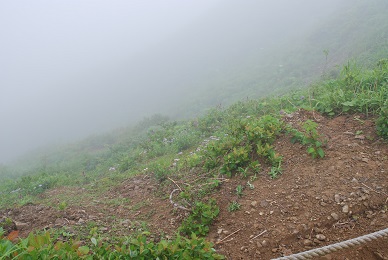 a0133886_17433744.jpg