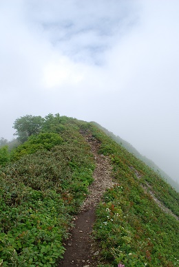 a0133886_17475785.jpg