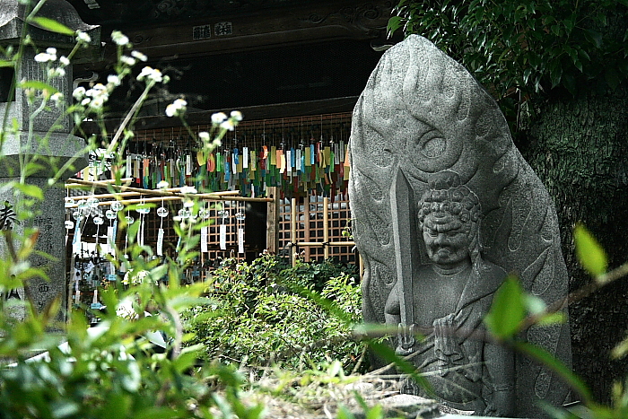 f0083400_23331018.jpg