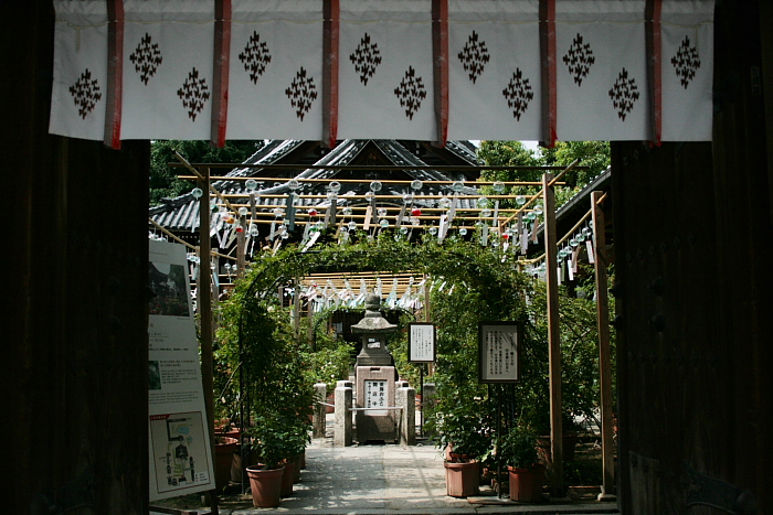 f0083400_23434496.jpg
