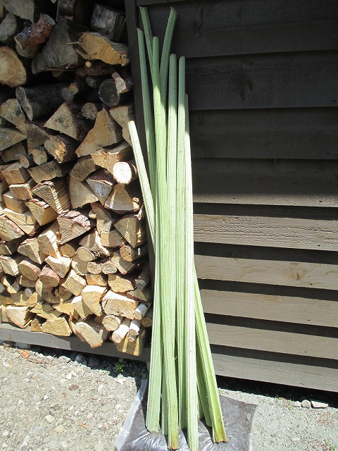 f0202703_2203972.jpg