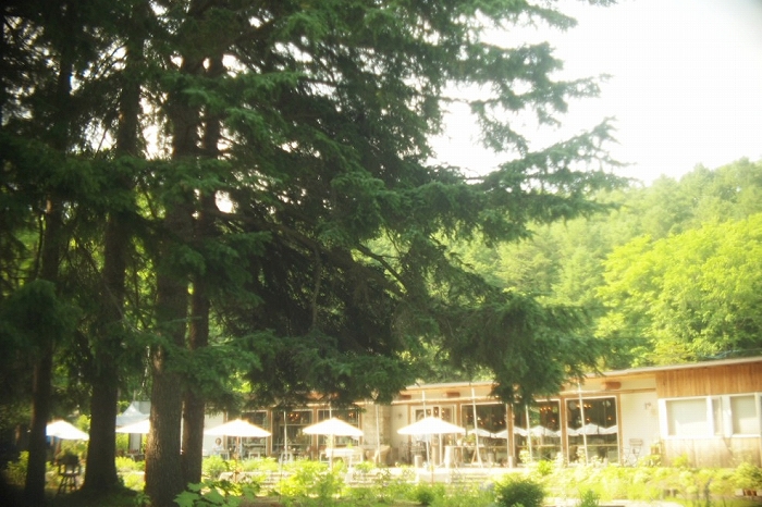c0202705_10145196.jpg