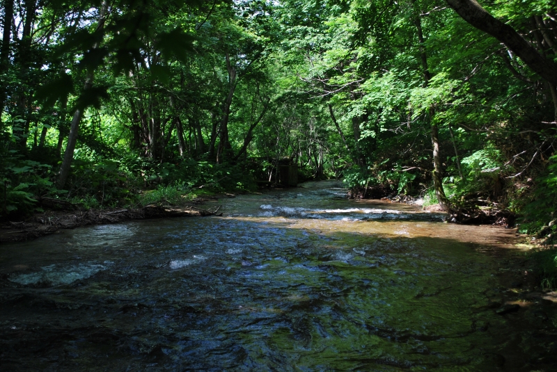 d0051707_2015064.jpg