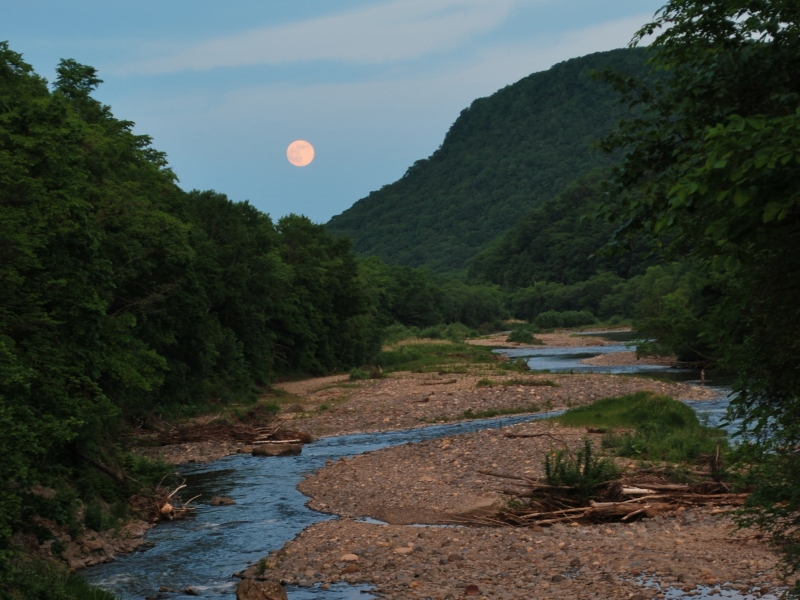d0051707_20152552.jpg