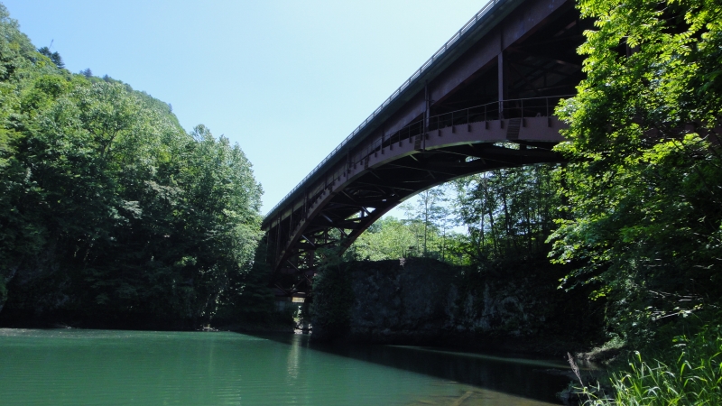 d0051707_20534965.jpg
