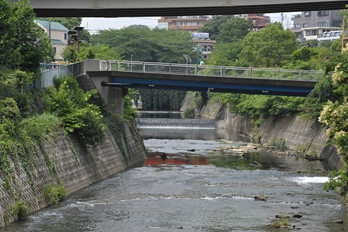 a0278809_1293276.jpg