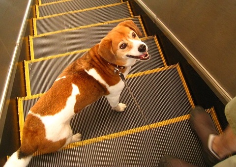 c0084117_2073269.jpg