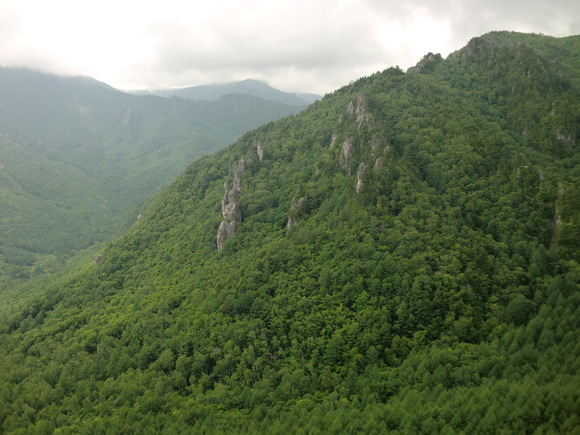 c0210618_063911.jpg