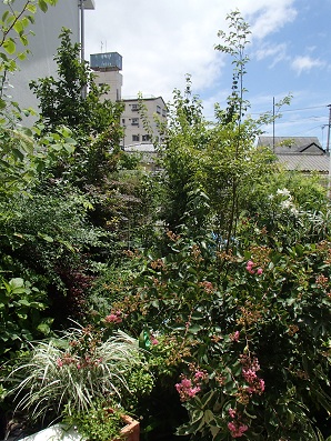 f0031420_752581.jpg