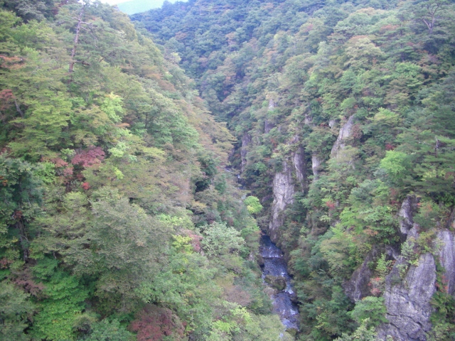 c0074721_15204221.jpg