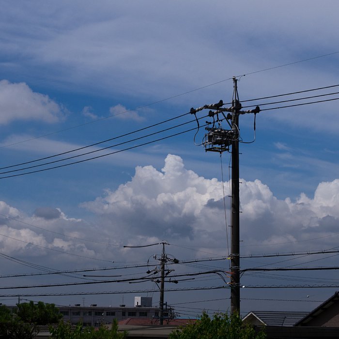 b0134829_20211876.jpg