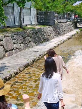 b0074430_22333429.jpg
