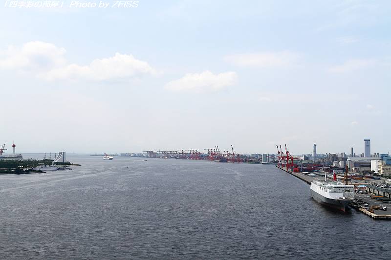 a0195032_2061531.jpg