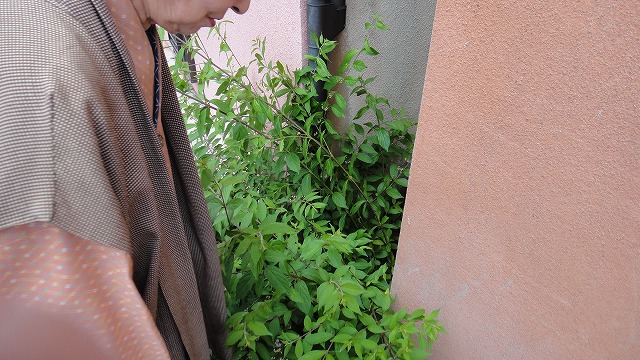 f0208737_874074.jpg
