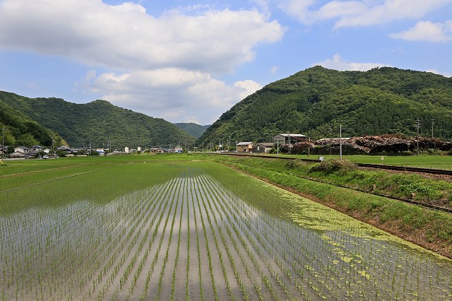 a0242438_11425417.jpg