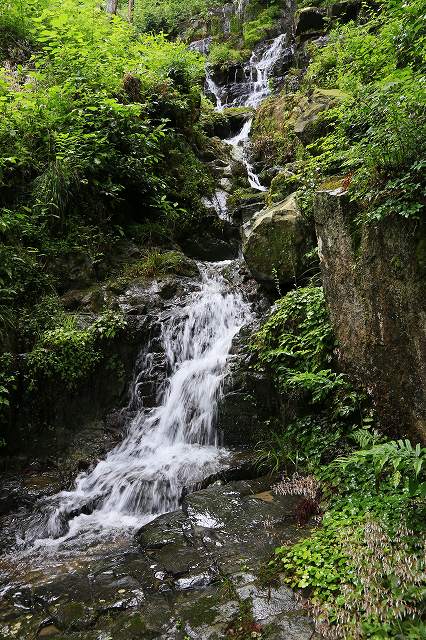 a0242438_11444339.jpg