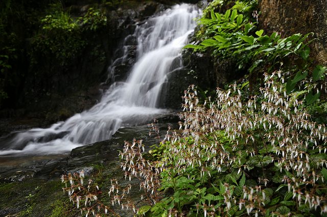 a0242438_11445338.jpg
