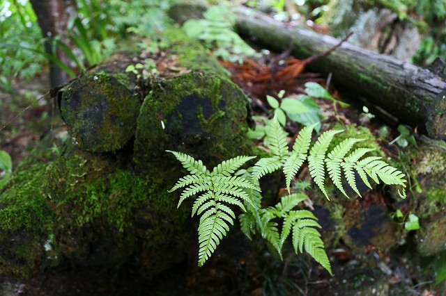a0242438_11455527.jpg