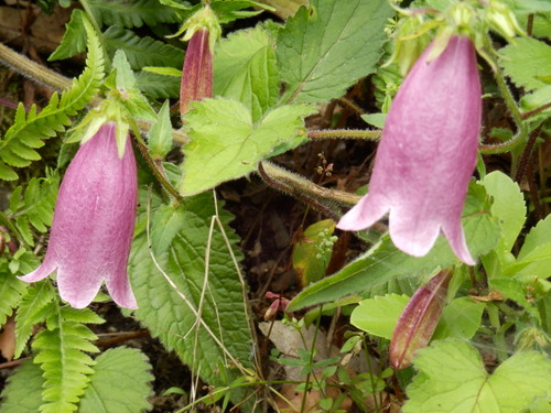 a0279738_2146674.jpg