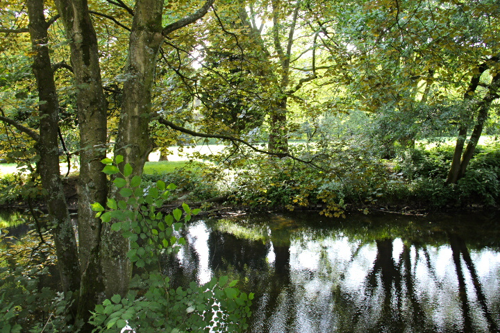 c0153740_3303530.jpg
