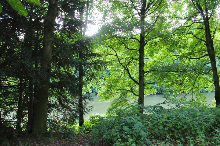 c0153740_3362640.jpg