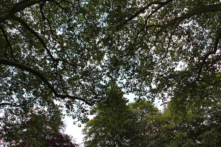c0153740_3381696.jpg
