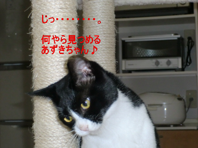 c0259945_16163031.jpg