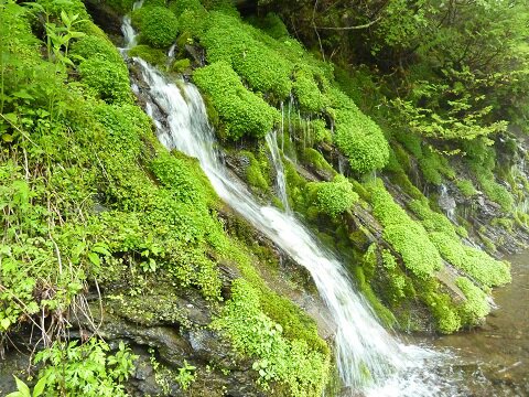 d0306248_1341636.jpg
