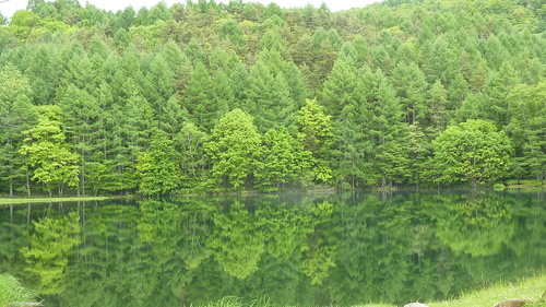 d0306248_14242715.jpg