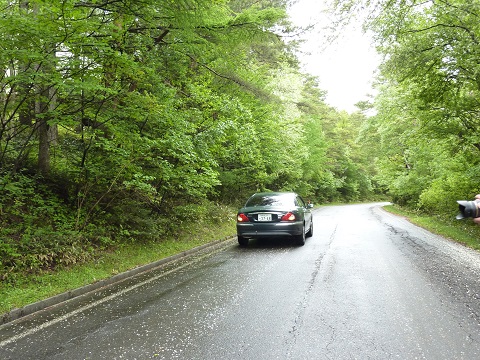 d0306248_144027.jpg