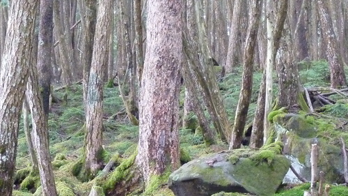 d0306248_14452087.jpg