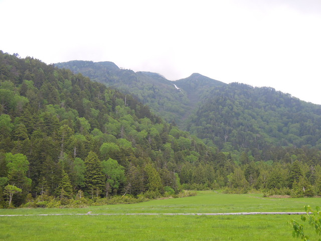 e0329049_17482462.jpg