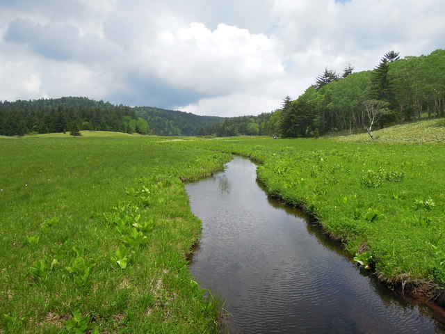 e0329049_17563358.jpg