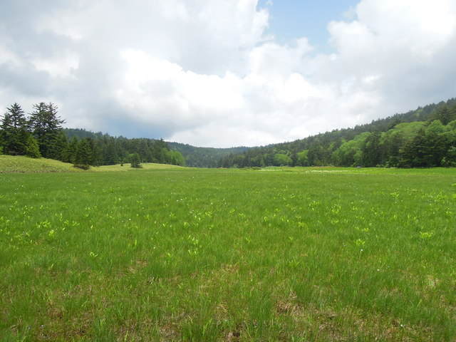 e0329049_1756952.jpg