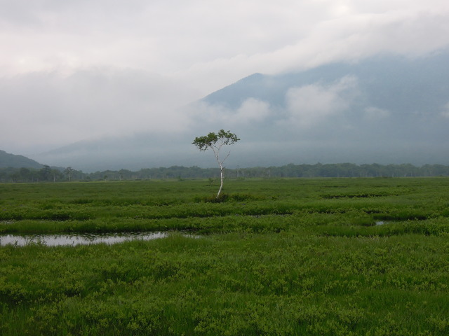 e0329049_179310.jpg