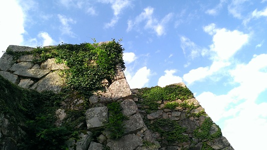 a0251851_23565253.jpg