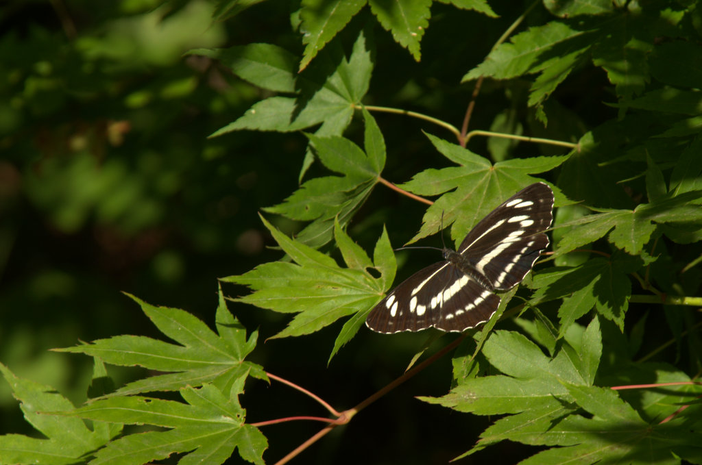 d0098057_414974.jpg